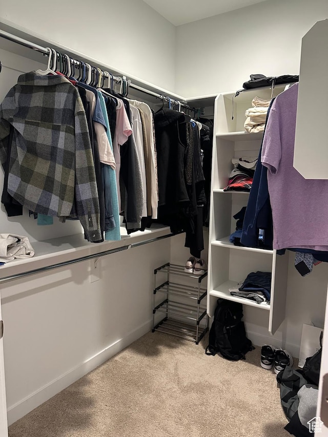 981 W Cyan Valley Way, Bluffdale, UT 84065 - walk in closet with carpet floors