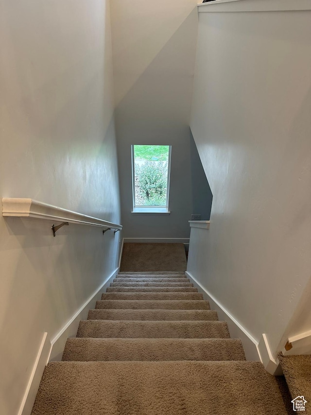 981 W Cyan Valley Way, Bluffdale, UT 84065 - stairway with carpet floors and baseboards