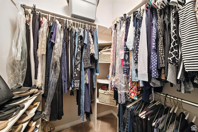 11803 Burkwood Ln, Draper, UT 84020 - spacious closet featuring carpet floors