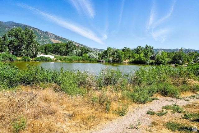 11803 Burkwood Ln, Draper, UT 84020 - water view featuring a mountainous background