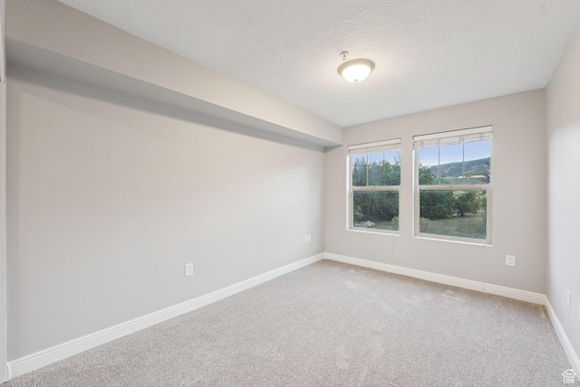 1729 Fox Bay Dr Unit J104, Heber City, UT 84032 - empty room featuring carpet and a textured ceiling