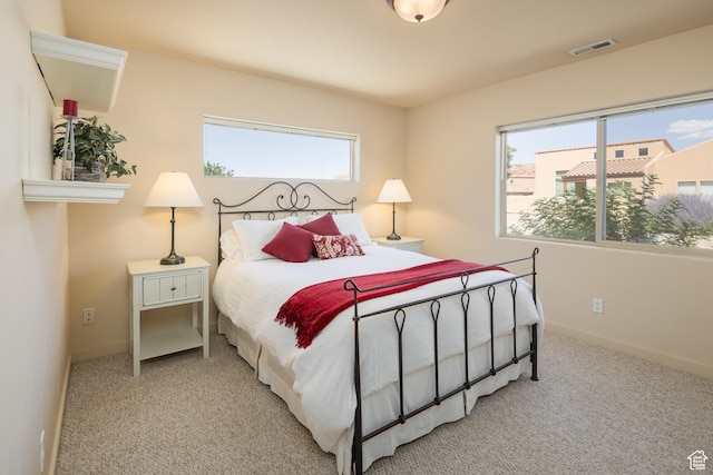 3686 S Spanish Valley Dr Unit N-2, Moab, UT 84532 - bedroom featuring multiple windows and carpet flooring