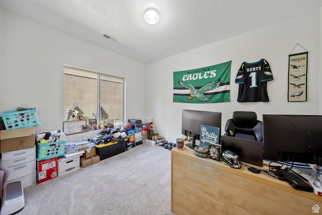 202 S 2035 W, Lehi, UT 84043 - view of carpeted office