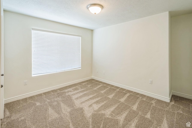 1195 W Dallin Dr Unit R-201, Pleasant Grove, UT 84062 - empty room with carpet floors and a textured ceiling