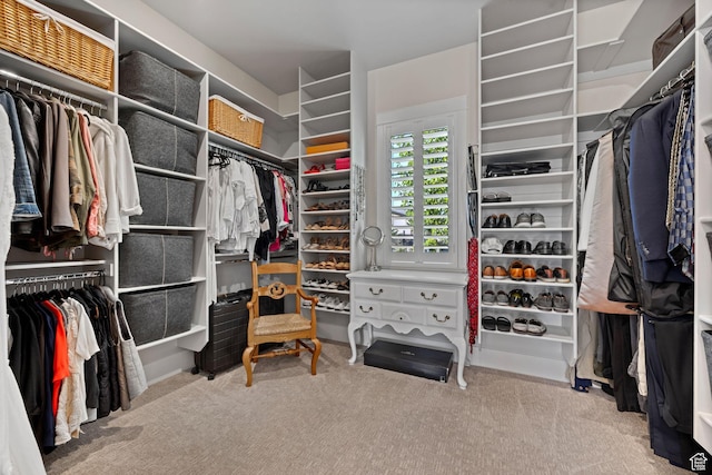 2918 E Willow Tree Ln, St George, UT 84790 - spacious closet featuring carpet