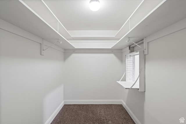 5430 S 850 E, South Ogden, UT 84405 - spacious closet with carpet floors