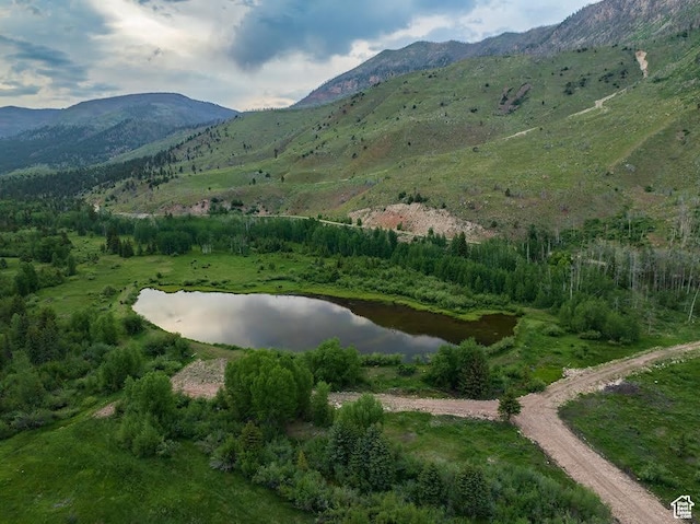 Mountain Home, UT 84051 - photo 2