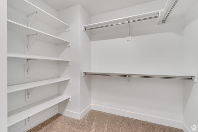 9728 N Aaron Ave Unit 115, Eagle Mountain, UT 84005 - walk in closet with carpet flooring