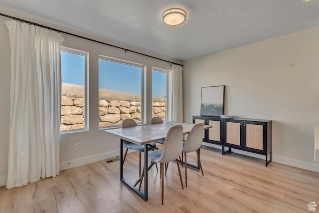 9728 N Aaron Ave Unit 115, Eagle Mountain, UT 84005 - dining room with light wood finished floors and a textured ceiling