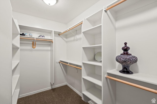 2265 N 515 E, North Ogden, UT 84414 - spacious closet featuring dark colored carpet