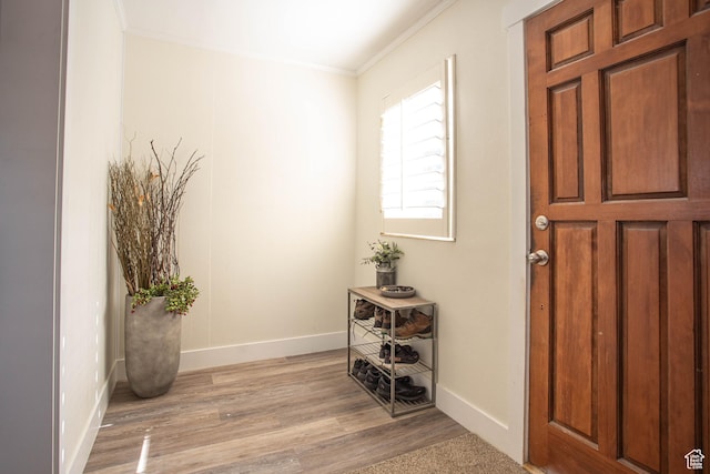 129 N 100 E, Ephraim, UT 84627 - foyer entrance featuring ornamental molding and light wood-type flooring