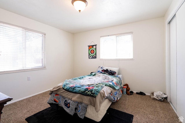 1663 W 2500 N, Vernal, UT 84078 - bedroom with carpet floors and a closet