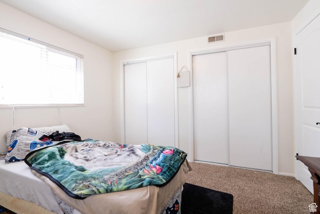 1663 W 2500 N, Vernal, UT 84078 - bedroom featuring two closets and carpet