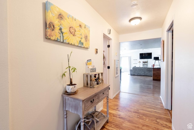 1663 W 2500 N, Vernal, UT 84078 - corridor with light wood-style floors