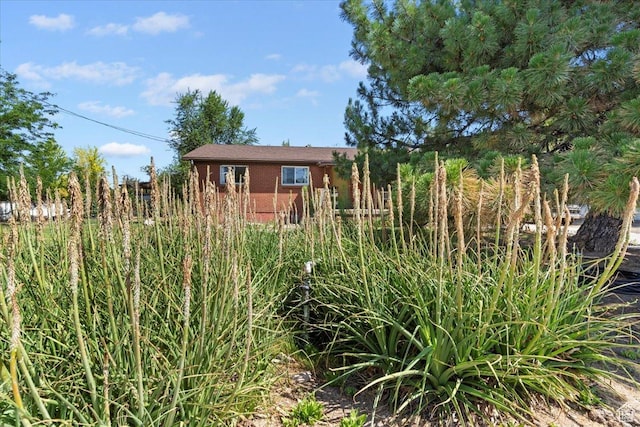 2262 W 2300 N, Clinton, UT 84015 - view of yard