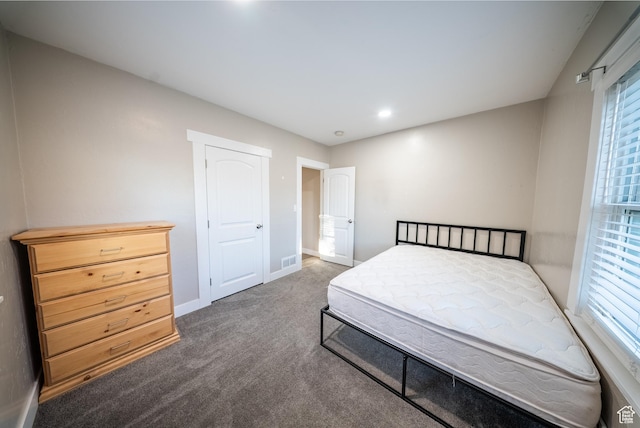 252 E 1000 N, Logan, UT 84321 - bedroom featuring carpet floors and multiple windows