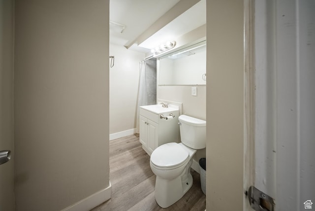 252 E 1000 N, Logan, UT 84321 - bathroom with vanity, wood finished floors, and a shower with curtain