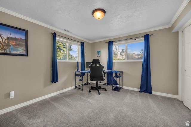 1834 N 200 E, Centerville, UT 84014 - office featuring a textured ceiling, carpet floors, and crown molding