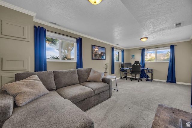 1834 N 200 E, Centerville, UT 84014 - carpeted living room with an office area, a textured ceiling, and crown molding