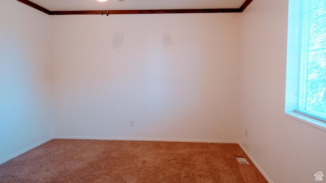 85 Hampton Pl N, Logan, UT 84341 - carpeted empty room featuring crown molding and ceiling fan