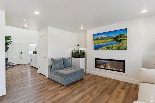 3380 W 3275 N, Plain City, UT 84404 - sitting room with light wood-type flooring, a glass covered fireplace, and recessed lighting