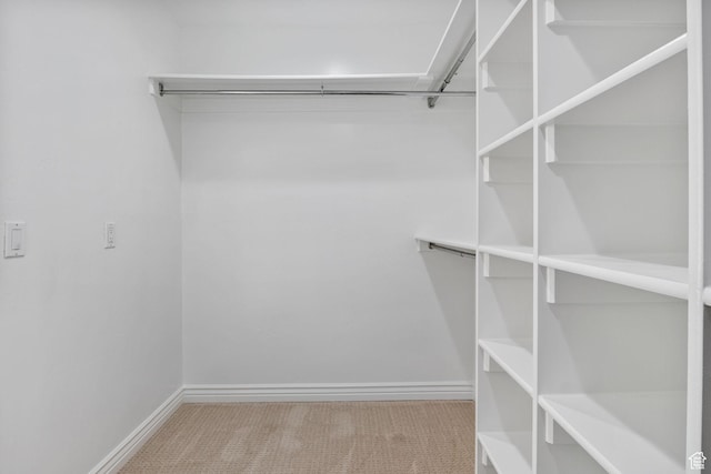 889 S Sego Lily Way, Mapleton, UT 84664 - walk in closet featuring carpet floors