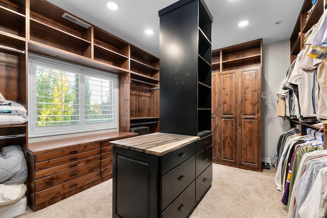 292 E Clubview Ln, Lehi, UT 84043 - walk in closet with light colored carpet