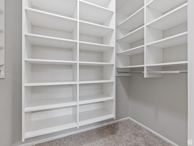 4525 S Taylor Ave E, Ogden, UT 84403 - walk in closet featuring carpet flooring