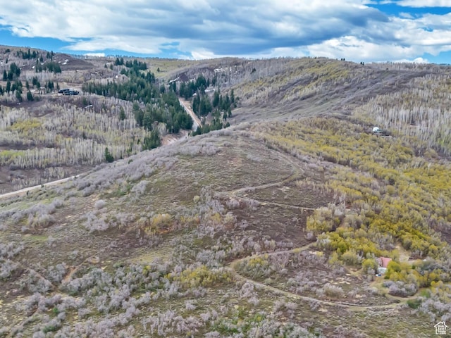4904 S Patrias Bench Ln Unit 15, Woodland, UT 84036