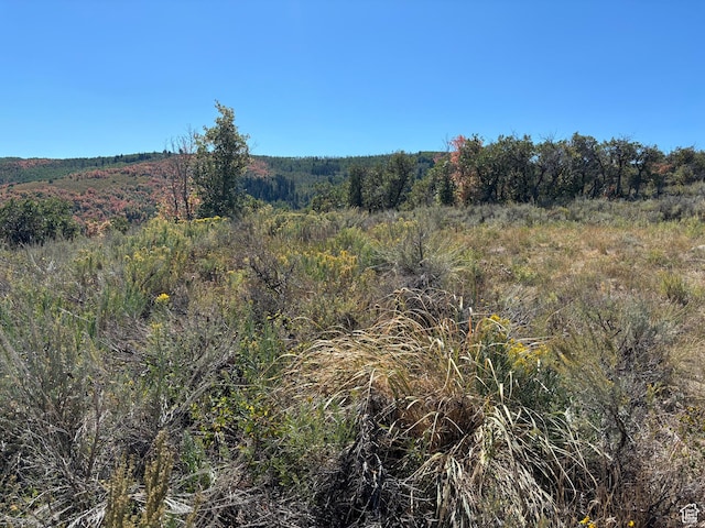 4904 S Patrias Bench Ln Unit 15, Woodland, UT 84036
