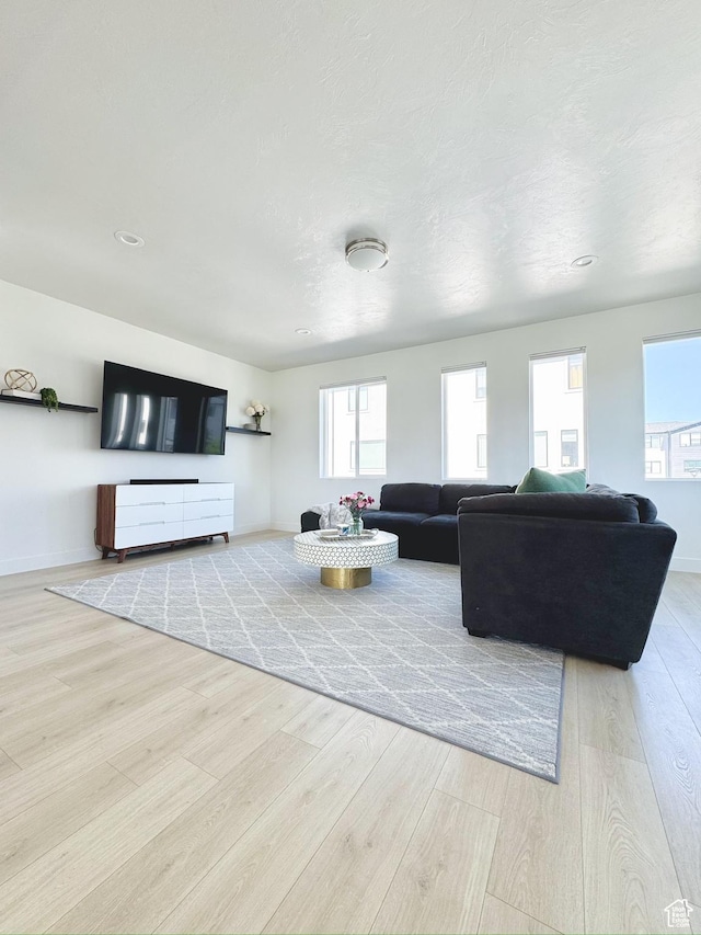 457 S Wood Stream Rd, American Fork, UT 84003 - living area with wood finished floors, healthy amount of natural light, and recessed lighting
