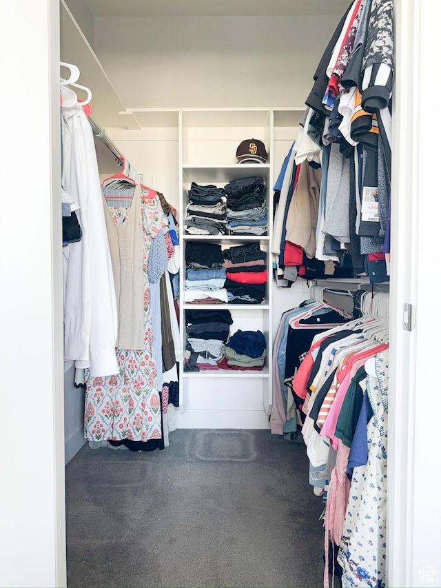 457 S Wood Stream Rd, American Fork, UT 84003 - spacious closet with carpet