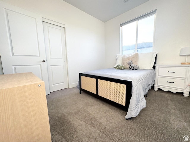 457 S Wood Stream Rd, American Fork, UT 84003 - bedroom with carpet, lofted ceiling, and a closet