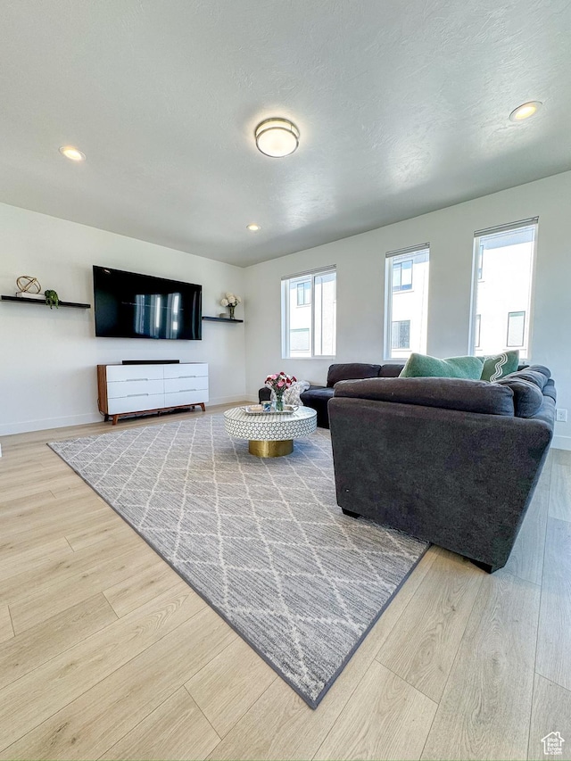 457 S Wood Stream Rd, American Fork, UT 84003 - living area with wood finished floors and recessed lighting