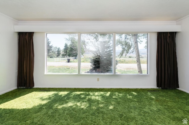 869 N 1600 E, Preston, ID 83263 - carpeted spare room with crown molding