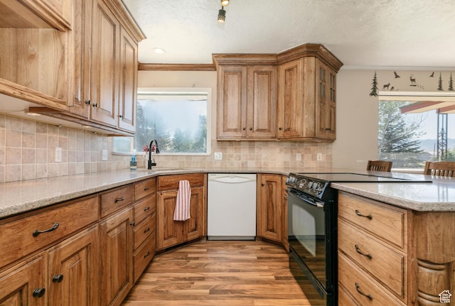 869 N 1600 E, Preston, ID 83263 - kitchen featuring dishwasher, black range with electric cooktop, light wood-style floors, light stone counters, and tasteful backsplash