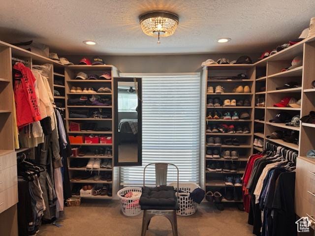 4650 S Chapel Dr E, Salt Lake City, UT 84117 - spacious closet with carpet floors