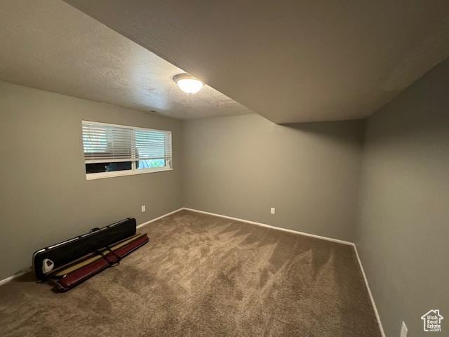 4650 S Chapel Dr E, Salt Lake City, UT 84117 - additional living space featuring carpet flooring and a textured ceiling