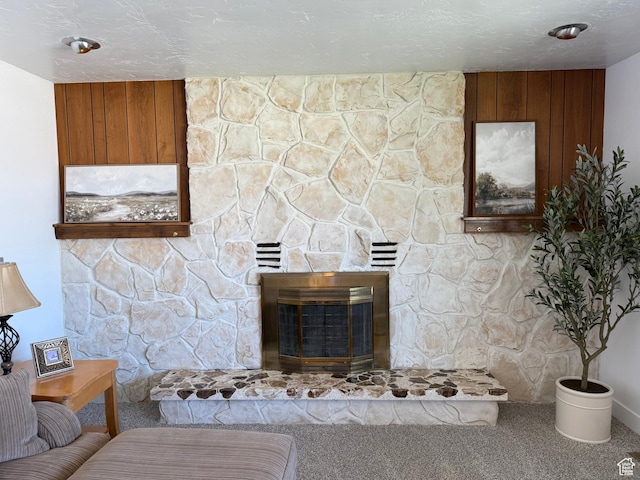 262 N 400 E, Fairview, UT 84629 - detailed view of carpet and a stone fireplace
