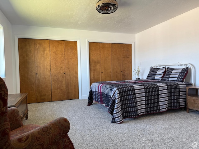 262 N 400 E, Fairview, UT 84629 - carpeted bedroom featuring multiple closets