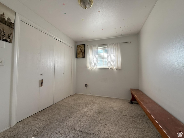 1344 N 280 W, Pleasant Grove, UT 84062 - unfurnished bedroom featuring carpet flooring and a closet