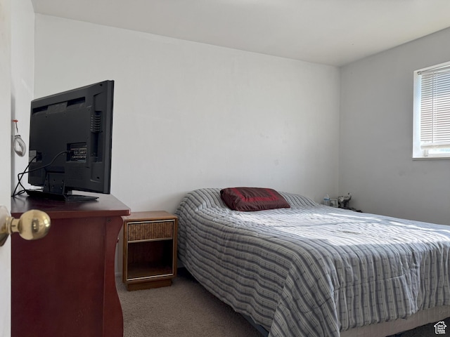 1344 N 280 W, Pleasant Grove, UT 84062 - view of carpeted bedroom