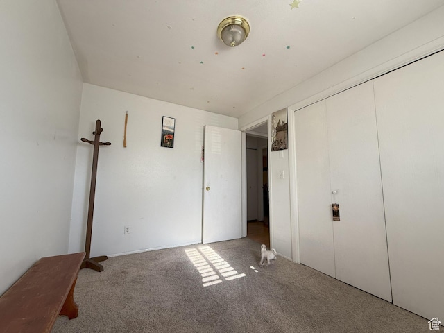 1344 N 280 W, Pleasant Grove, UT 84062 - unfurnished bedroom with carpet flooring and a closet