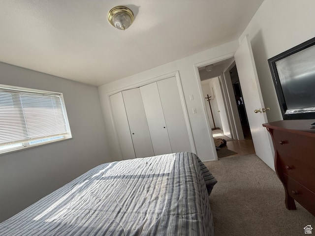 1344 N 280 W, Pleasant Grove, UT 84062 - carpeted bedroom featuring a closet