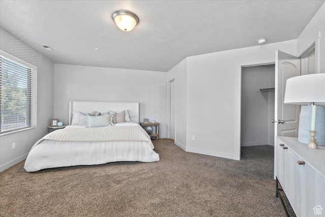 491 S Freedom Blvd Unit 104204, Provo, UT 84601 - carpeted bedroom featuring baseboards and a walk in closet