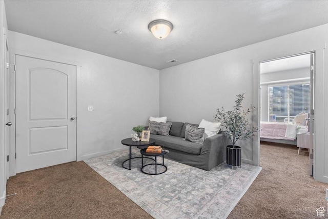 491 S Freedom Blvd Unit 104204, Provo, UT 84601 - carpeted living room with a textured ceiling