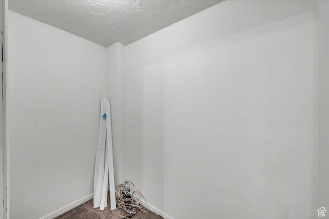 971 N 600 E, Springville, UT 84663 - unfurnished room featuring carpet floors and a textured ceiling