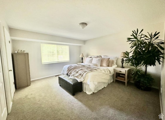 2442 N 2275 E, Layton, UT 84040 - carpeted bedroom with baseboards