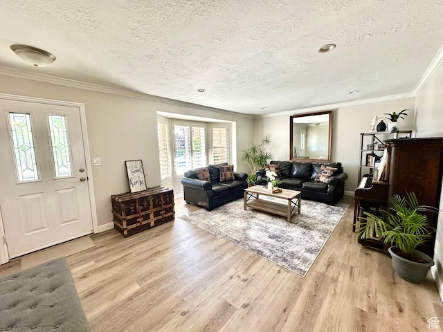 2442 N 2275 E, Layton, UT 84040 - living room featuring a textured ceiling, light wood finished floors, and ornamental molding