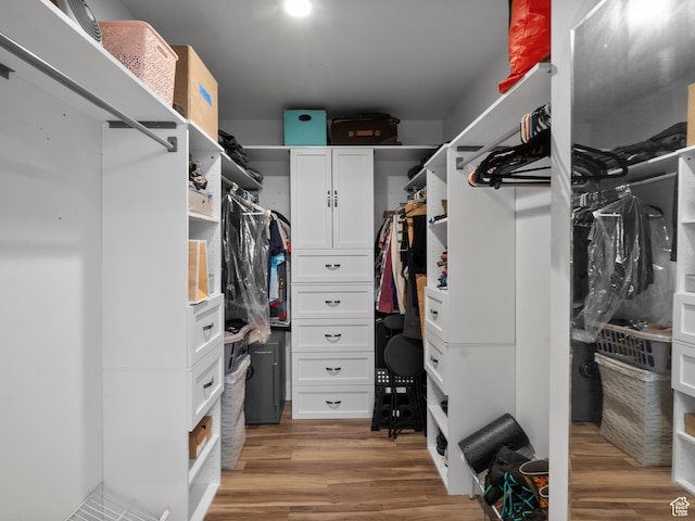 48 W 300 S Unit 1203N, Salt Lake City, UT 84101 - walk in closet with light wood-style flooring